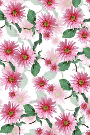 莫妮卡-大牌华亿平台印花华亿平台图片