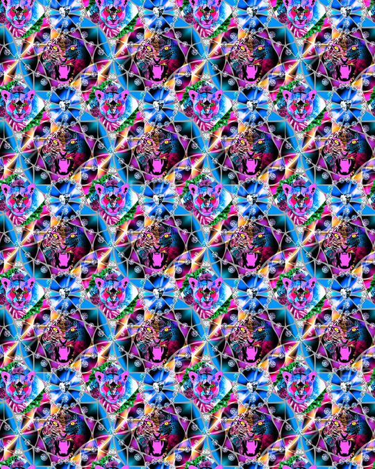 tiger印花华亿平台图片