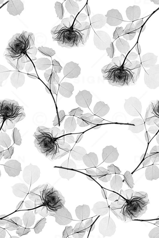 女装花卉印花华亿平台图片