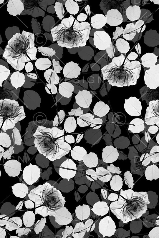 女装花卉印花华亿平台图片