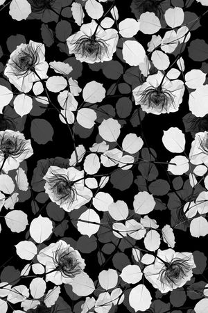 女装花卉印花华亿平台图片