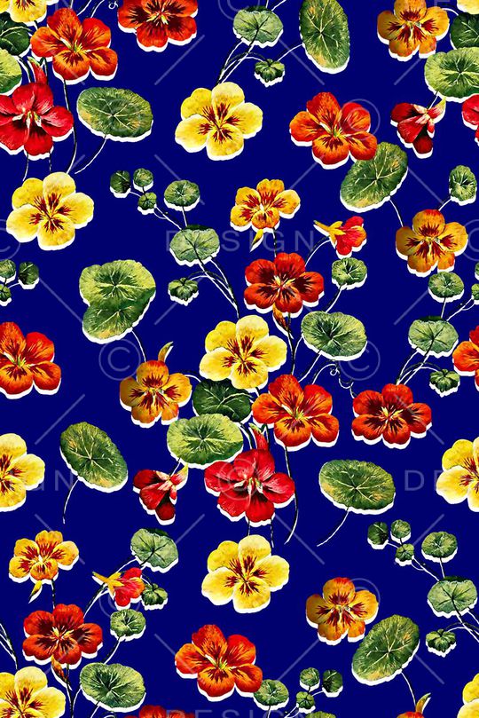 女装花卉印花华亿平台图片