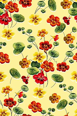 女装花卉印花华亿平台图片