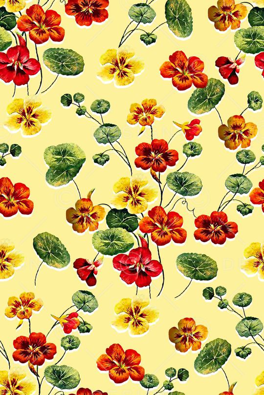 女装花卉印花华亿平台图片