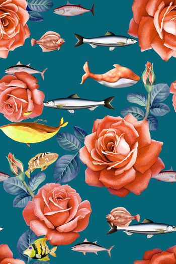 713811-玫瑰鱼类蓝