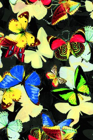 蝴蝶印花华亿平台图片