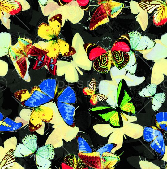 蝴蝶印花华亿平台图片