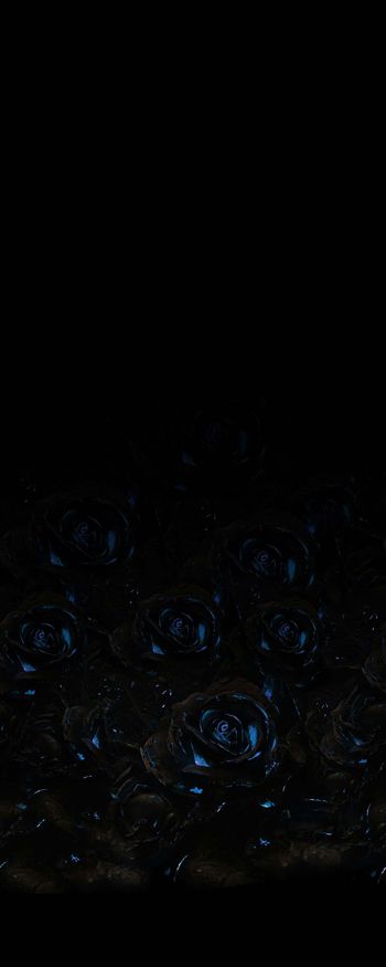 713925-FLZ-9-50..。