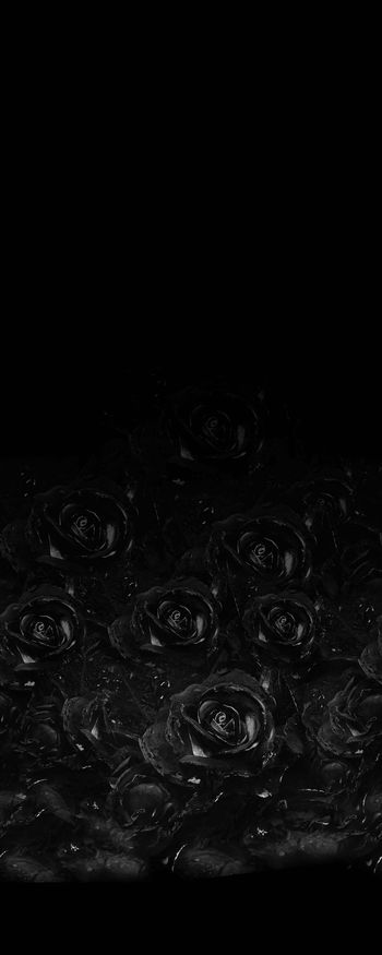 713926-FLZ-9-50..。。