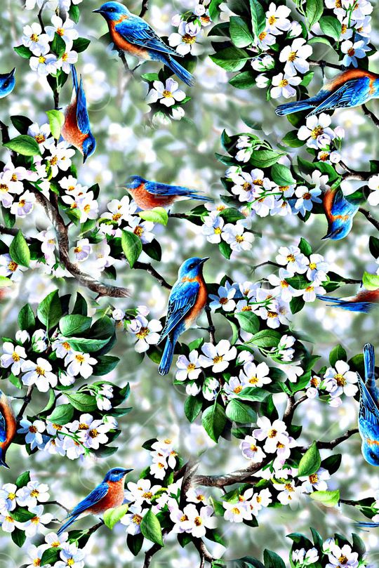 抽象手绘水彩画植物叶子鸟数码印花印花华亿平台图片