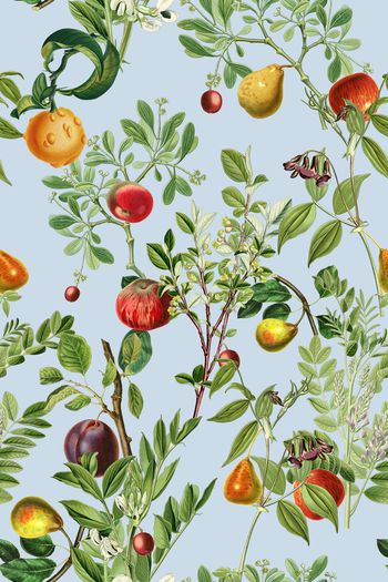 水果印花华亿平台图片