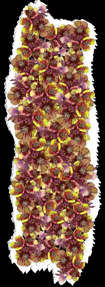 丝巾长巾印花华亿平台图片