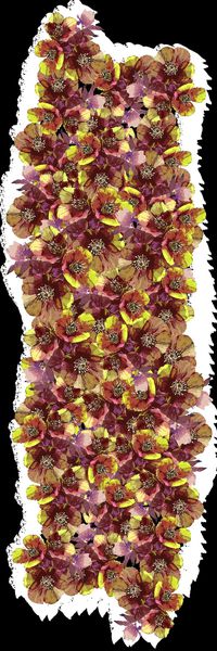 丝巾长巾印花华亿平台图片