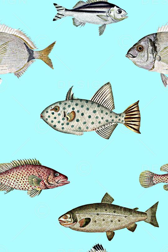 抽象手绘水彩画鱼动物数码印花印花华亿平台图片