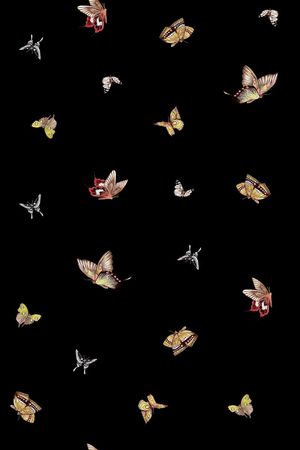 蝴蝶印花华亿平台图片