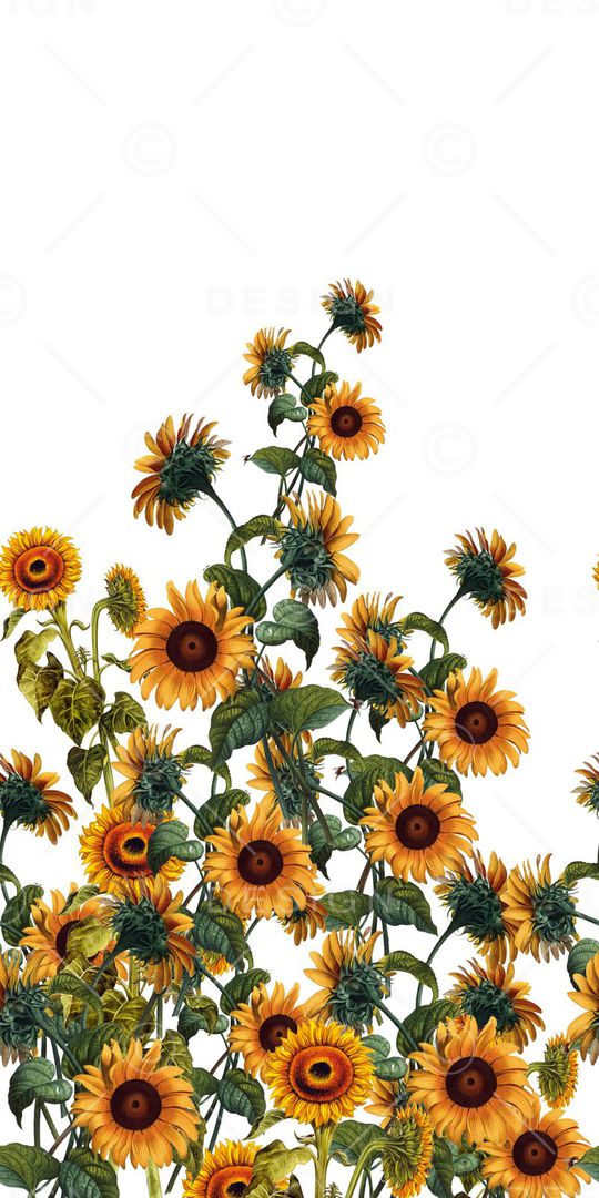 DG杜嘉邦纳风格印花华亿平台图片