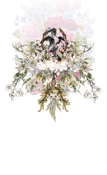 714476-定位花卉植物花卉1