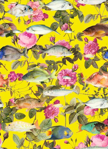 714617-838816093008b