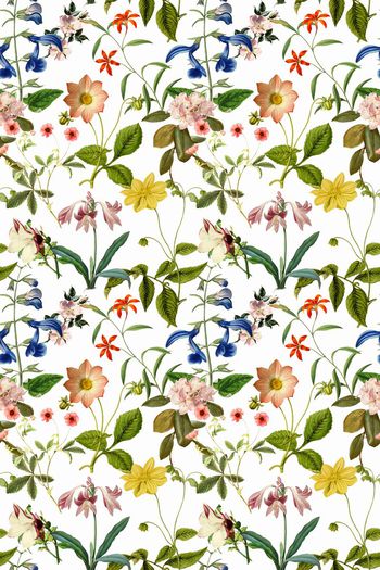 大花印花华亿平台图片