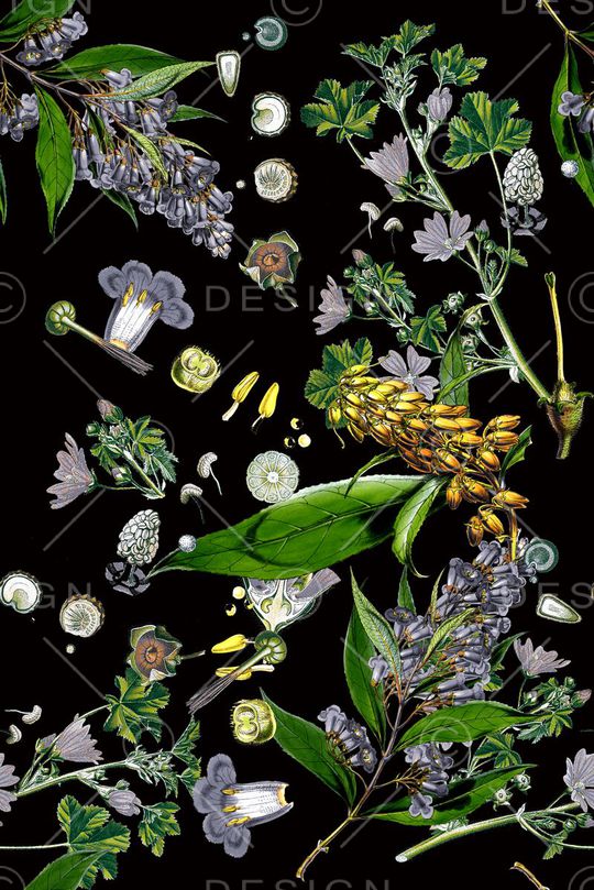 花朵印花华亿平台图片