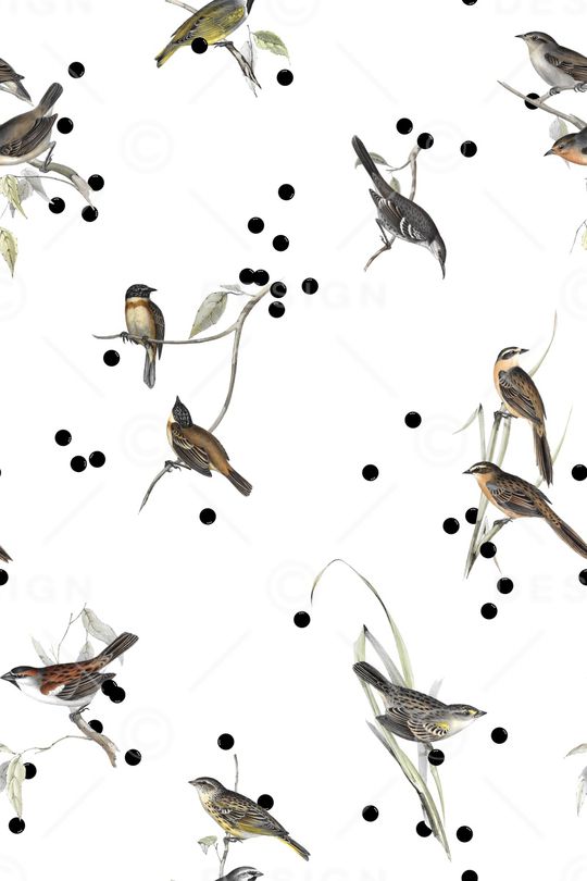 鸟印花华亿平台图片