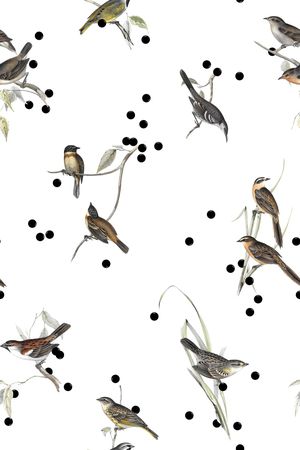 鸟印花华亿平台图片