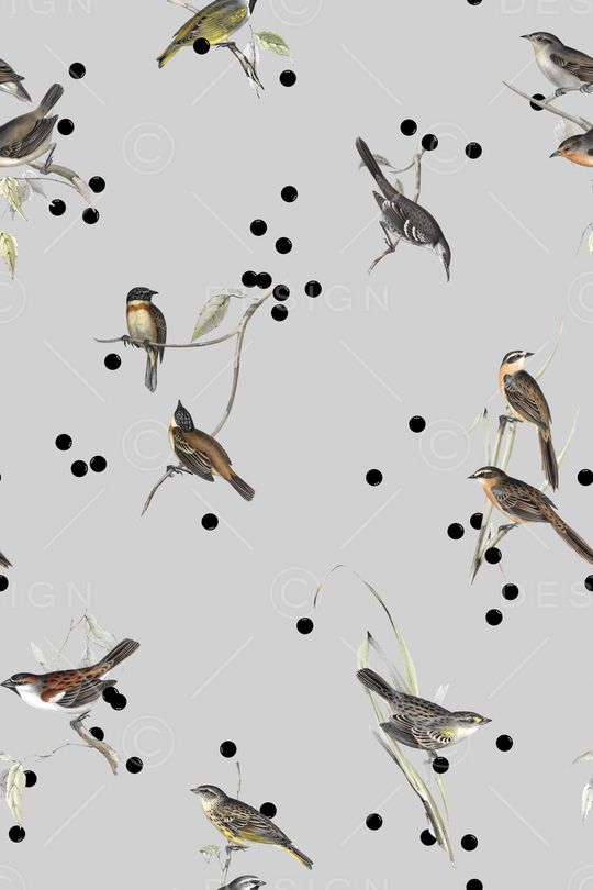 鸟印花华亿平台图片