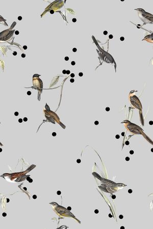 鸟印花华亿平台图片