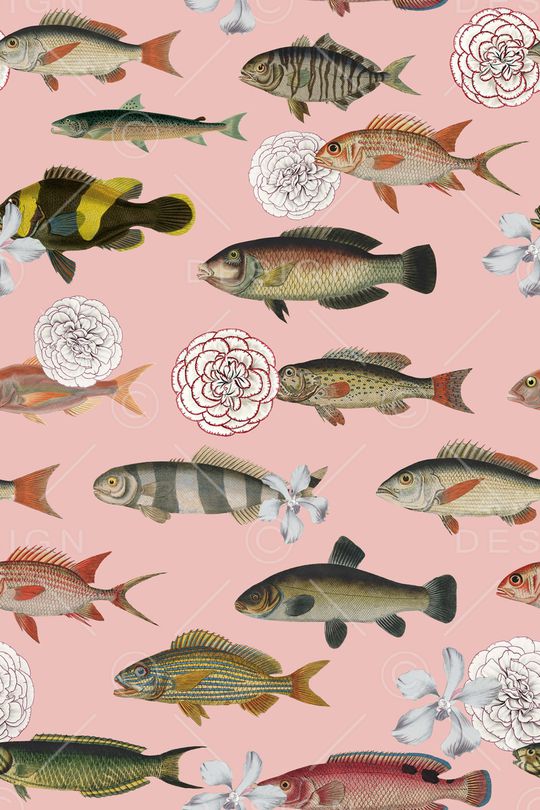 鱼印花华亿平台图片