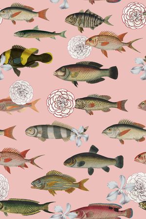 鱼印花华亿平台图片