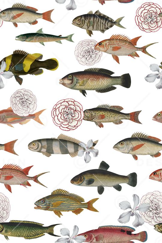 鱼印花华亿平台图片