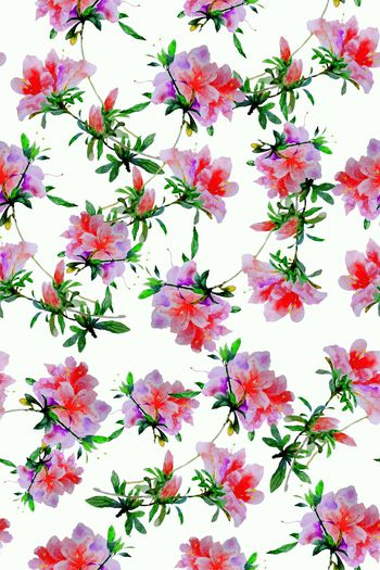 714730-2016-9-28水彩树枝花卉1