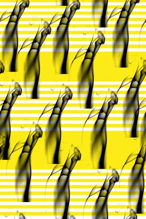 横条印花华亿平台图片