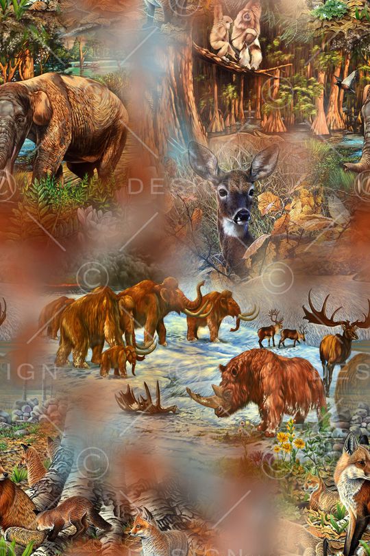 动物印花华亿平台图片