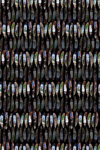 715025-羽毛上的动物图案黑