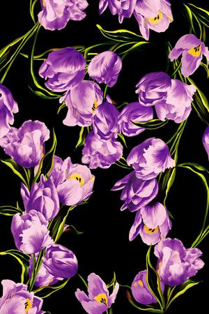 杜嘉班纳印花华亿平台图片