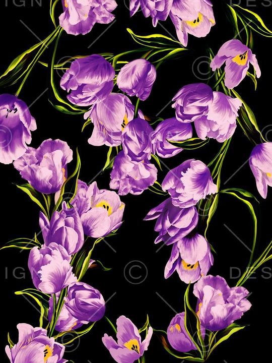 杜嘉班纳印花华亿平台图片