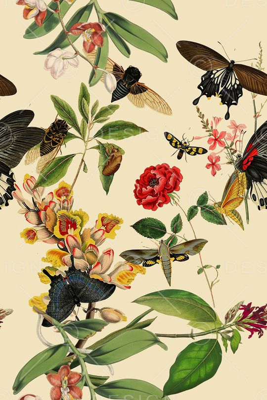 时尚印花华亿平台图片