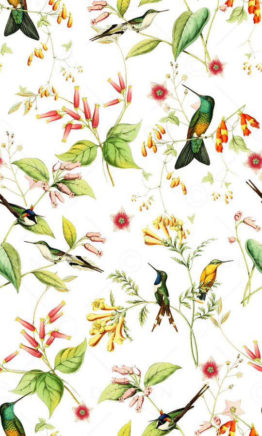 水彩花卉印花华亿平台图片