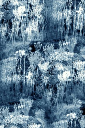 复古印花华亿平台图片