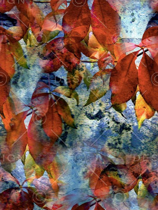 ♥红桃A〖复古时代〗印花华亿平台图片