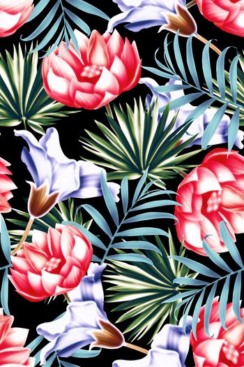 715287-热带棕树叶荷花