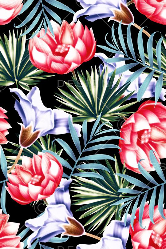 天堂鸟花印花华亿平台图片