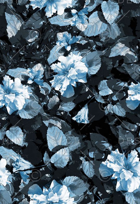 女装印花华亿平台图片