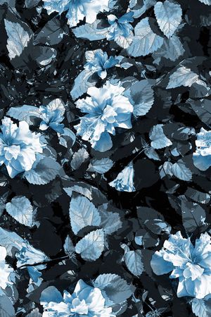 女装印花华亿平台图片