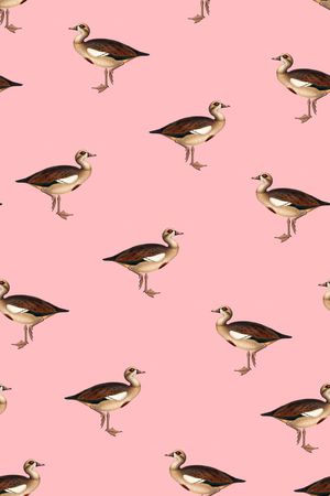 鸟印花华亿平台图片