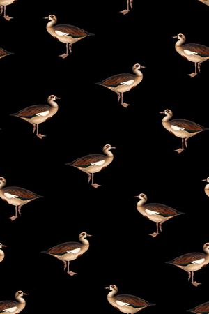 鸟印花华亿平台图片