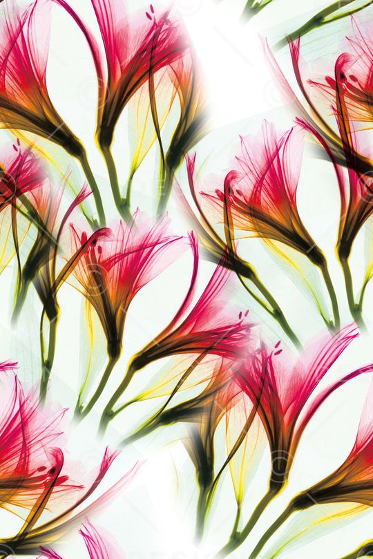 大花印花华亿平台图片