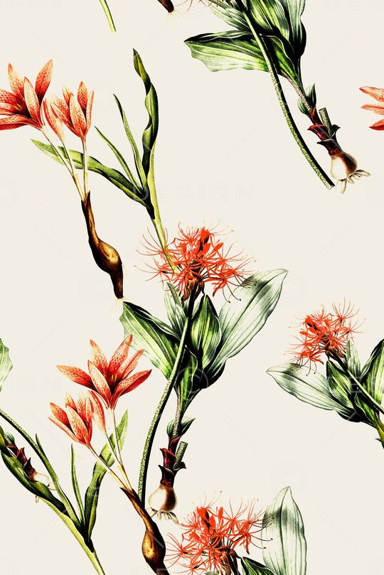 大花印花华亿平台图片