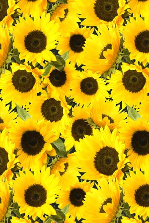 大花印花华亿平台图片